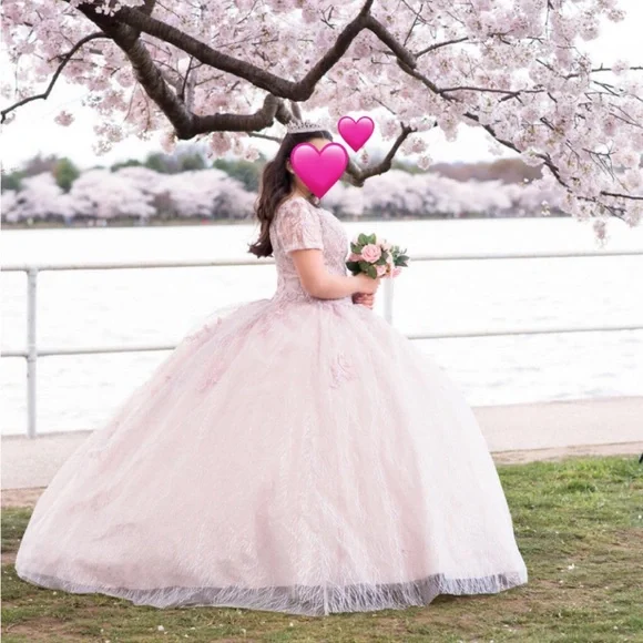 Dresses | Blush Pink Quinceaera Dress Includes Underskirt | Poshmark